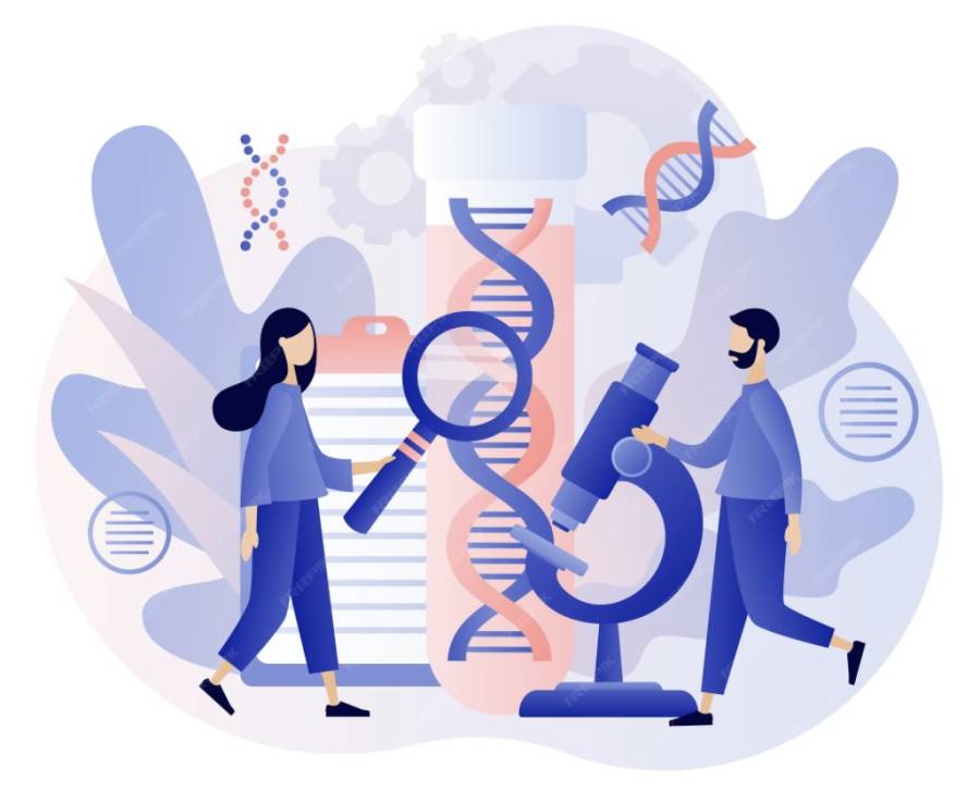 Когда хромосомы играют в пазлы: стоит ли сдавать кариотип перед ЭКО?