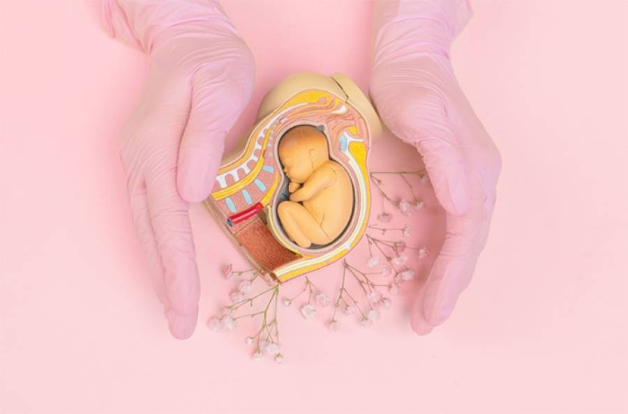 Почему не получается забеременеть сразу? «Айсберг» потерь беременности и что важно знать при планировании малыша?