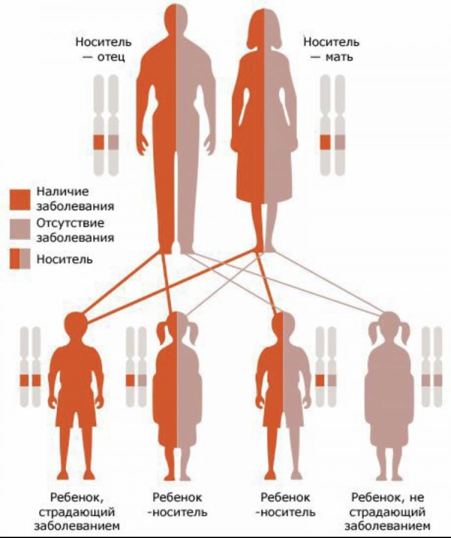 Как родить здорового ребенка, если родители - носители генетического заболевания?